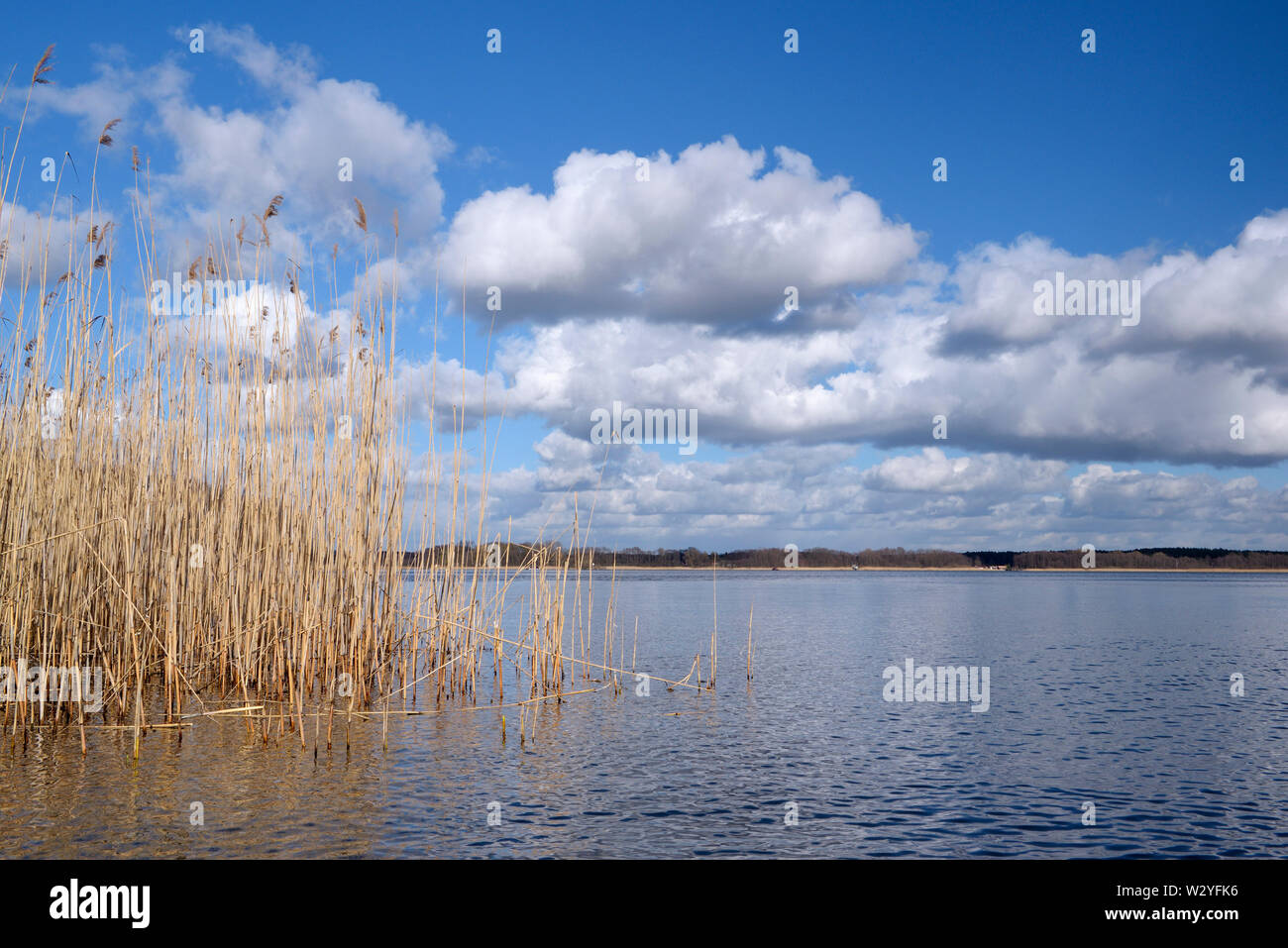 Woblitzsee, April, Gross Quassow, Mecklenburg-Vorpommern, Deutschland Stockfoto