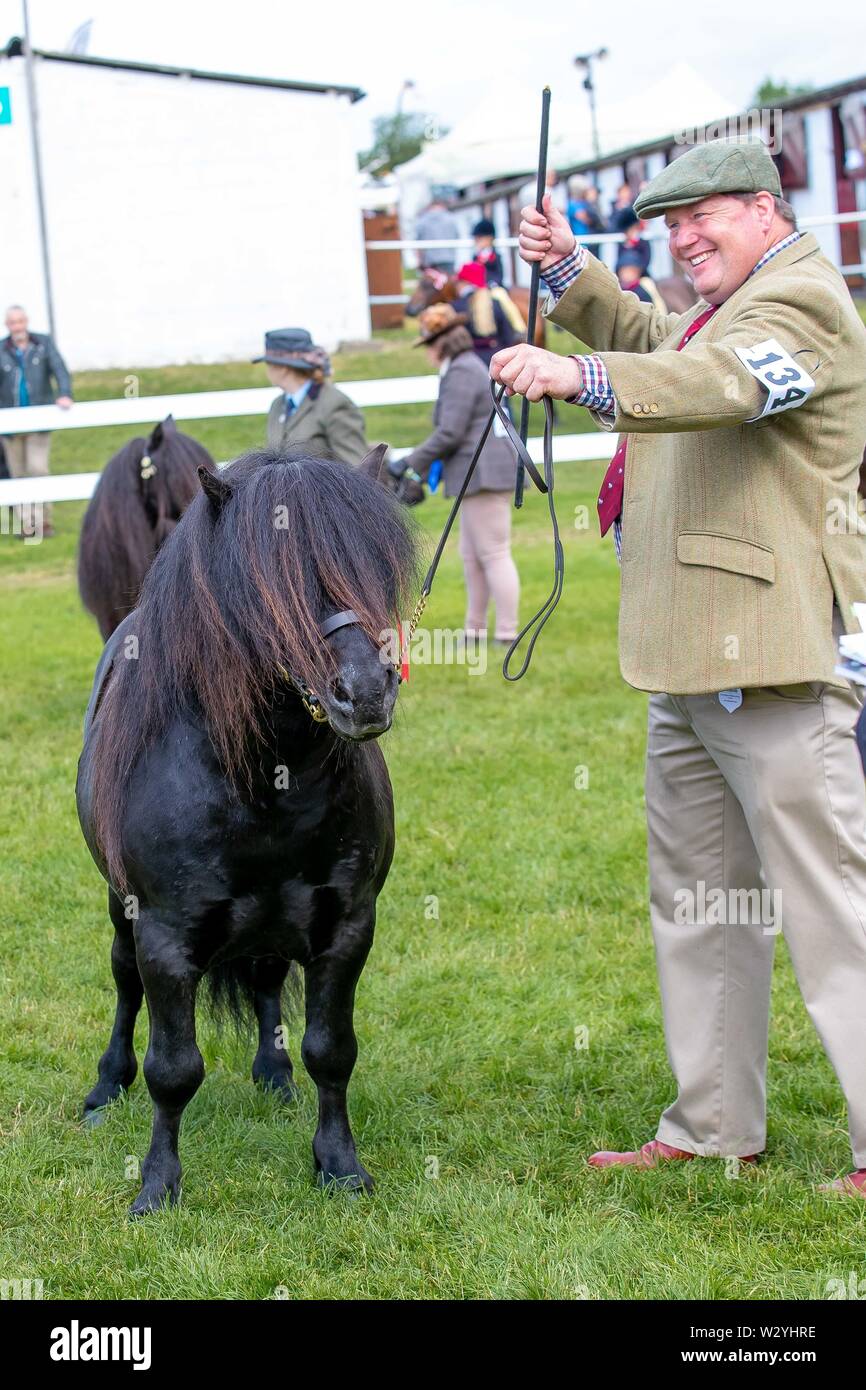 Harrogate. Vereinigtes Königreich. 11. Juli 2019. Sieger. Hr. H Schlitten und Sohn Brunnen Legende. Meister Shetland Pony. Die besten Shetland Hengst. Der Meister männliche Shetland Pony am Großen Yorkshire zeigen. Kredit Elli Birke/SIP-Foto Agentur/Alamy leben Nachrichten. Stockfoto