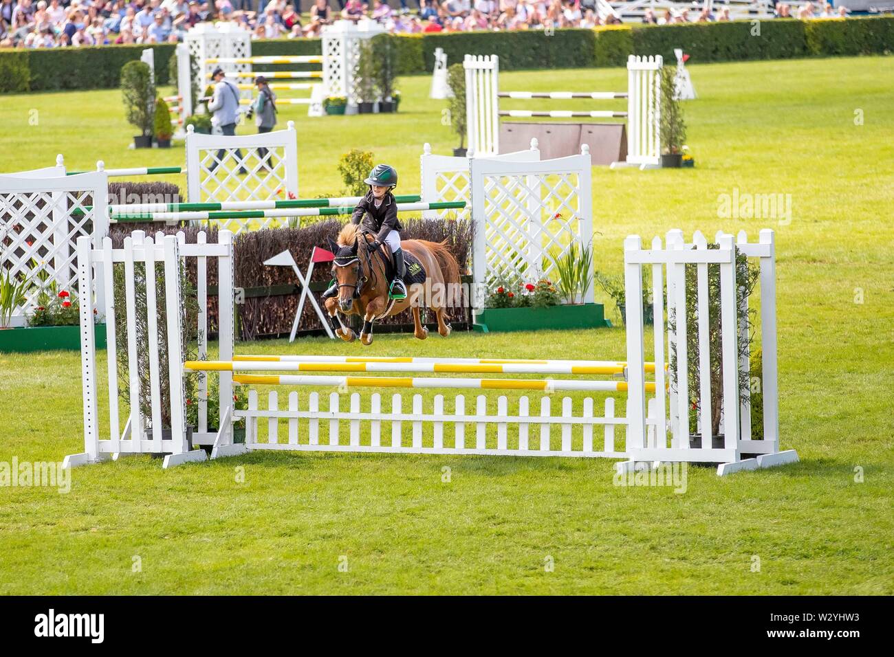 Harrogate. Vereinigtes Königreich. 11. Juli 2019. Grosse Massen in der Main Arena. Die Yorkshire Dales Eis mini großen Peitsche Runde. Springen auf der großen Yorkshire zeigen. Kredit Elli Birke/SIP-Foto Agentur/Alamy leben Nachrichten. Stockfoto