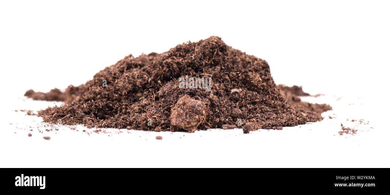 Humus und boden -Fotos und -Bildmaterial in hoher Auflösung – Alamy