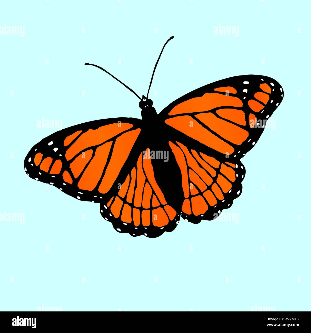 Ein Vektor Illustration eines Vizekönigs Schmetterling leicht schräg auf einem blauen Hintergrund Stock Vektor