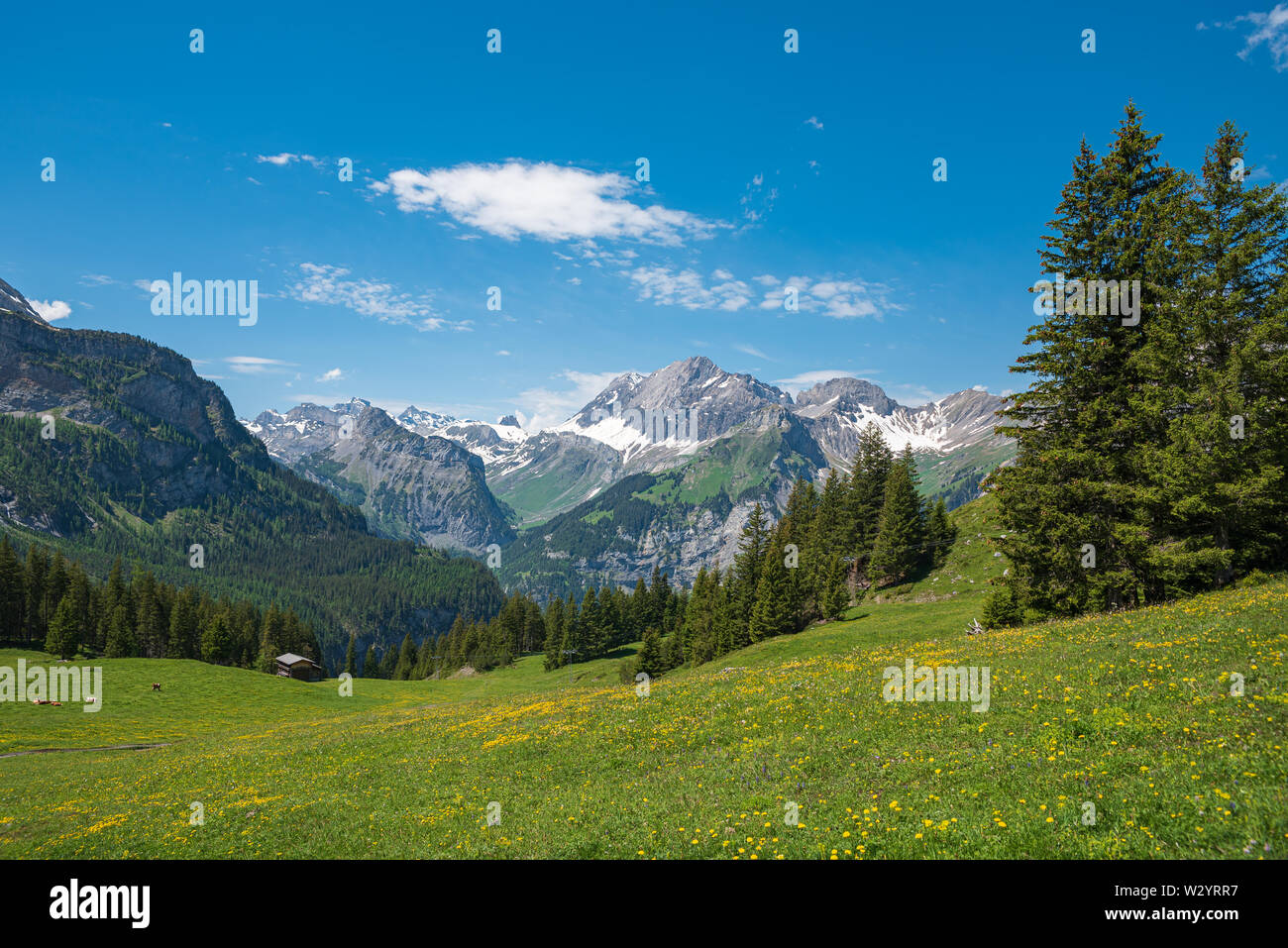 Landschaft zwischen Oeschinensee Bergstation Oeschinensee See mit dem Gipfel des Großen Lohner, Kandersteg, Berner Oberland, Kanton Bern, Stockfoto