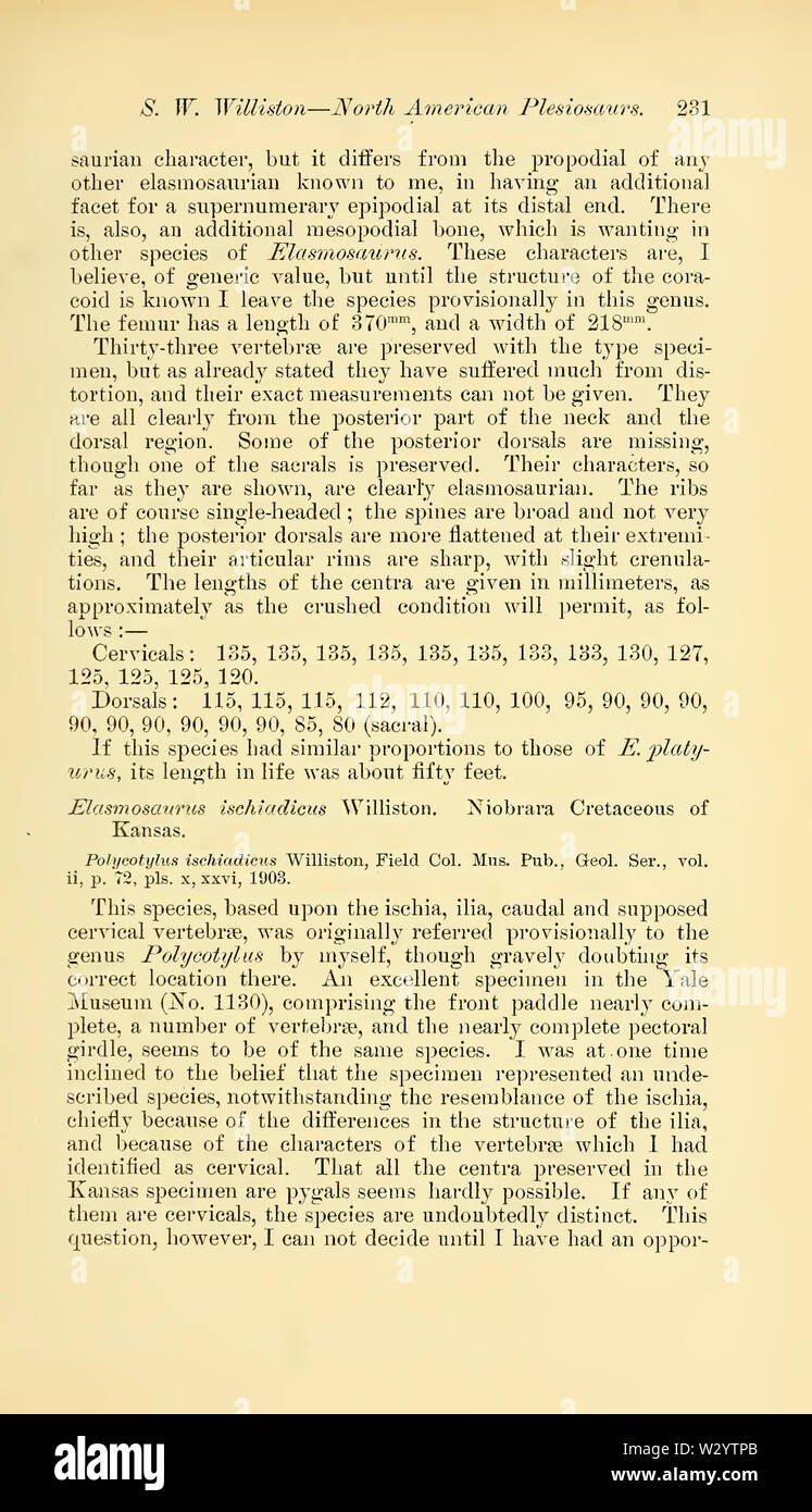 North American Plesiosaurs Elasmosaurus, Cimoliasaurus und Polycotylus 11. Stockfoto