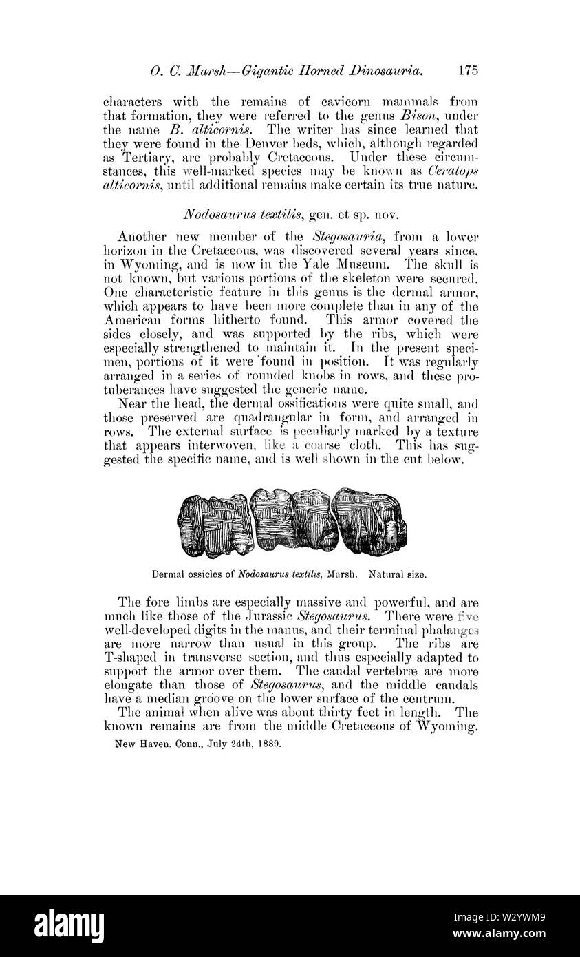 Bekanntmachung über die gigantischen Gehörnten Dinosauria aus der Kreidezeit Seite 3 Stockfoto