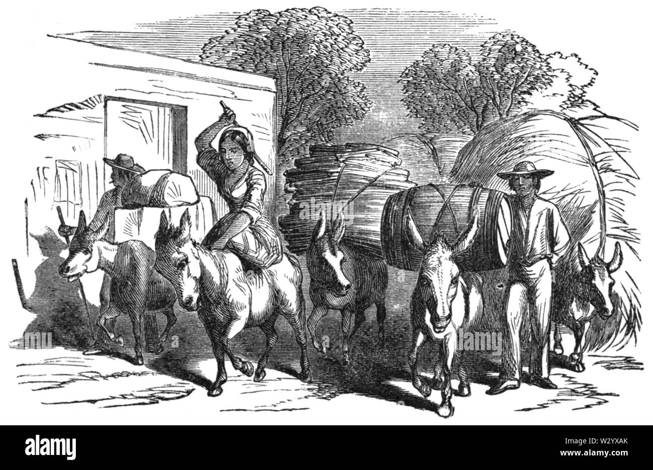 OSR Mexiko D 093 Indianer von michoacán in Guadalajara Stockfoto