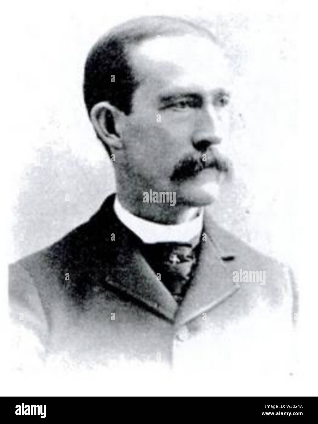 Oliver E Zweig Stockfoto