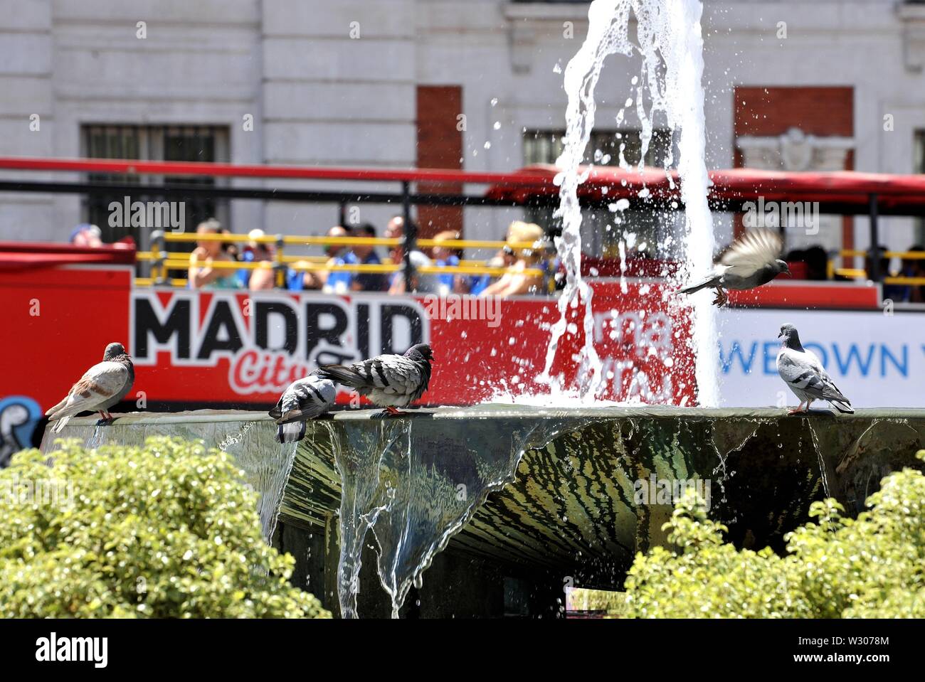 Madrid, Spanien. 11. Juli, 2019. Tauben trinken sie Wasser durch einen Brunnen in Madrid, Spanien, 11. Juli 2019. Madrid sah eine Temperatur von über 35 Grad Celsius in den letzten Tagen. Quelle: Guo Qiuda/Xinhua/Alamy leben Nachrichten Stockfoto