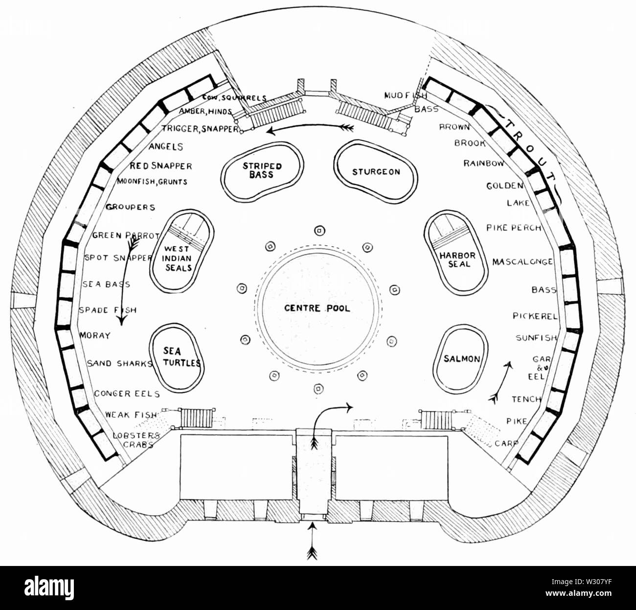 PSM V58 D415 New York Aquarium main floor Plan Stockfoto