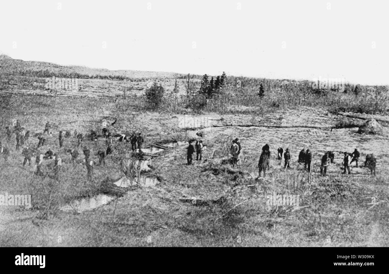 PSM V63 D 098 Pflanzen auf Wiese land Stockfoto