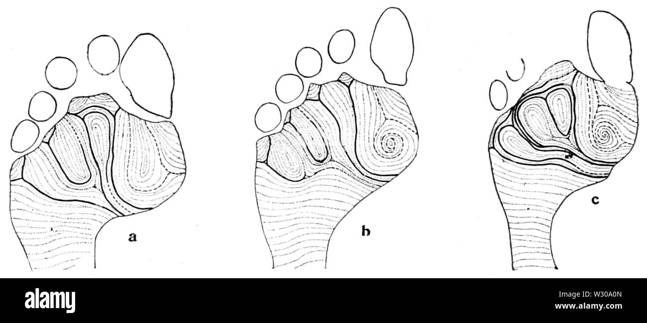 PSM V63 D410 Nachzeichnung der drei linken Sohlen Stockfoto