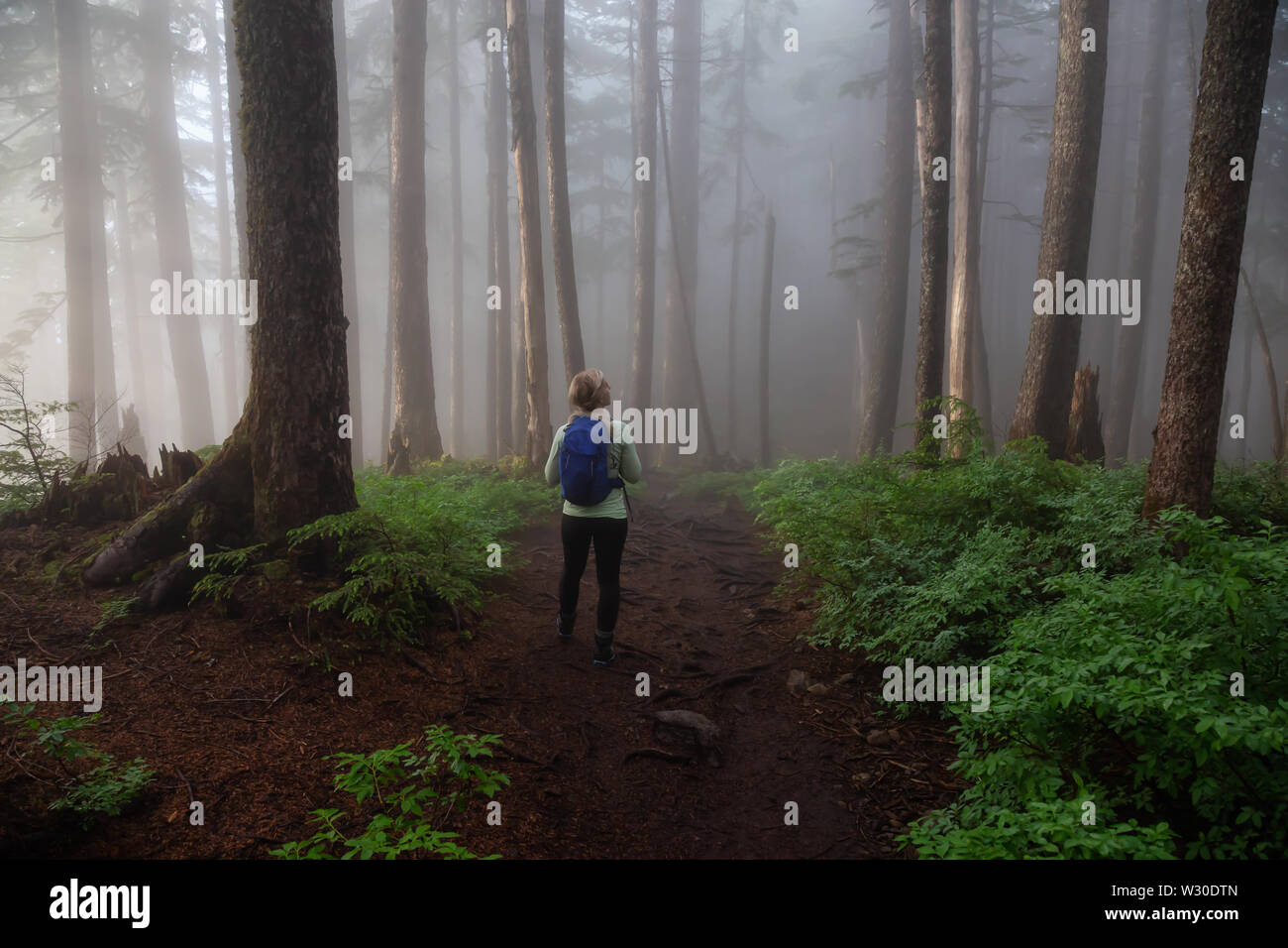 Abenteuerliche Mädchen wandern auf einem Trail im Wald bei einem nebligen und verregneten Tag. In Cypress Provincial Park, Vancouver, British Columbia, Kanada. Stockfoto