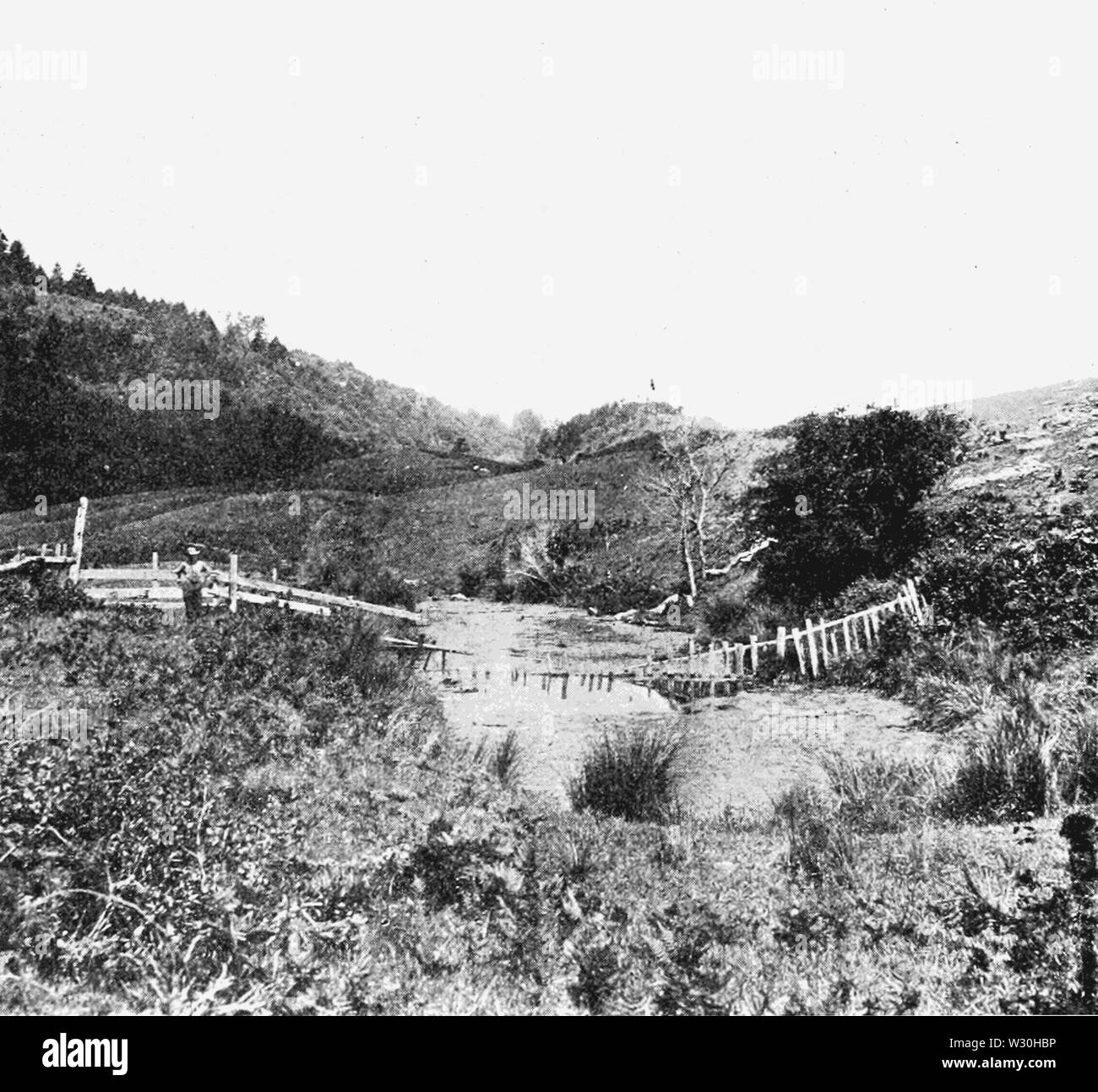 PSM V69 D104 Störung Topographie zwischen Tomales und bolinas Stockfoto