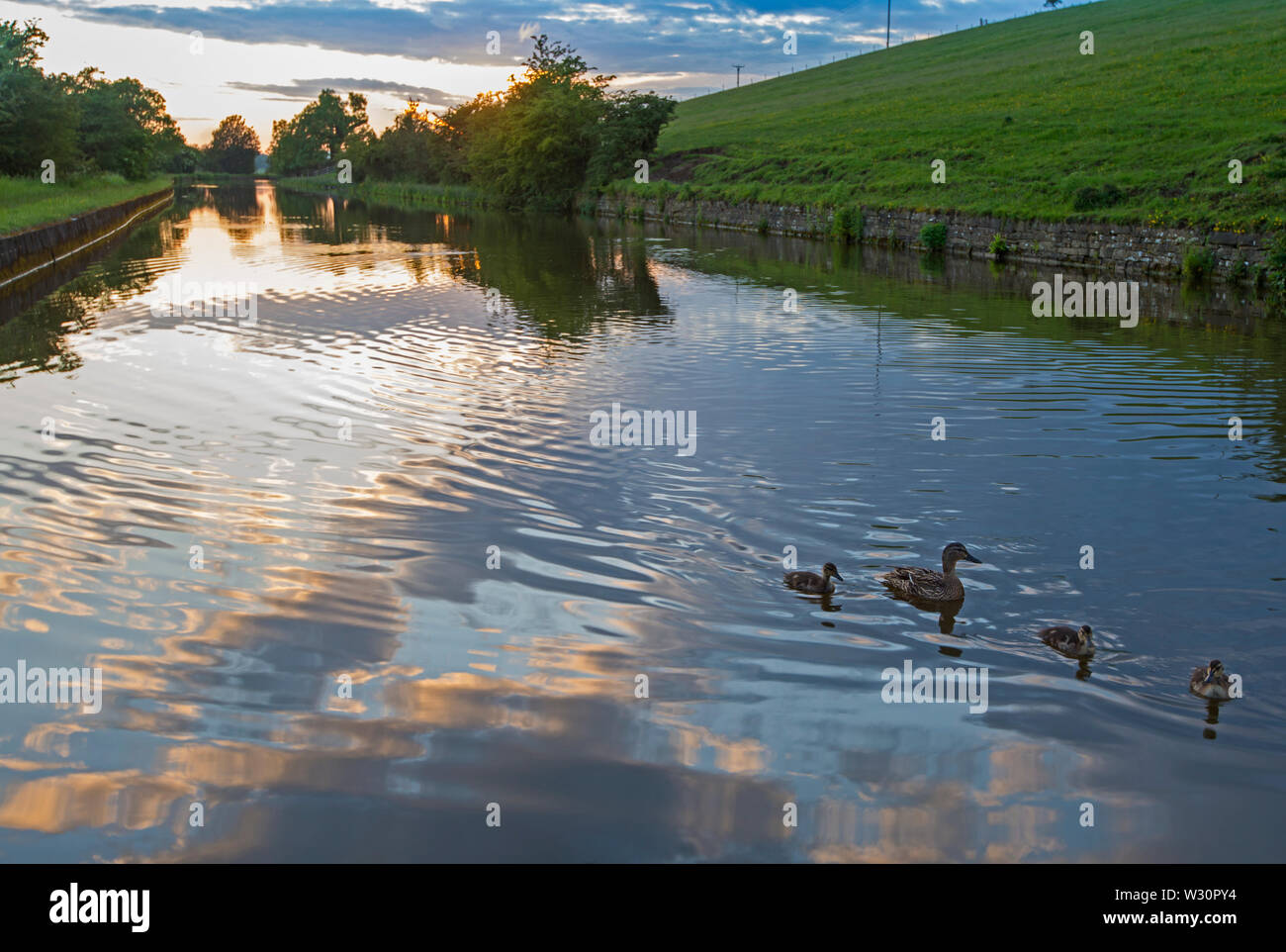 Anzeigen eines englischen Landschaft Landschaft auf Britische Wasserweg Kanal während bedeckt bewölkt Tag bei Sonnenuntergang Dämmerung Stockfoto