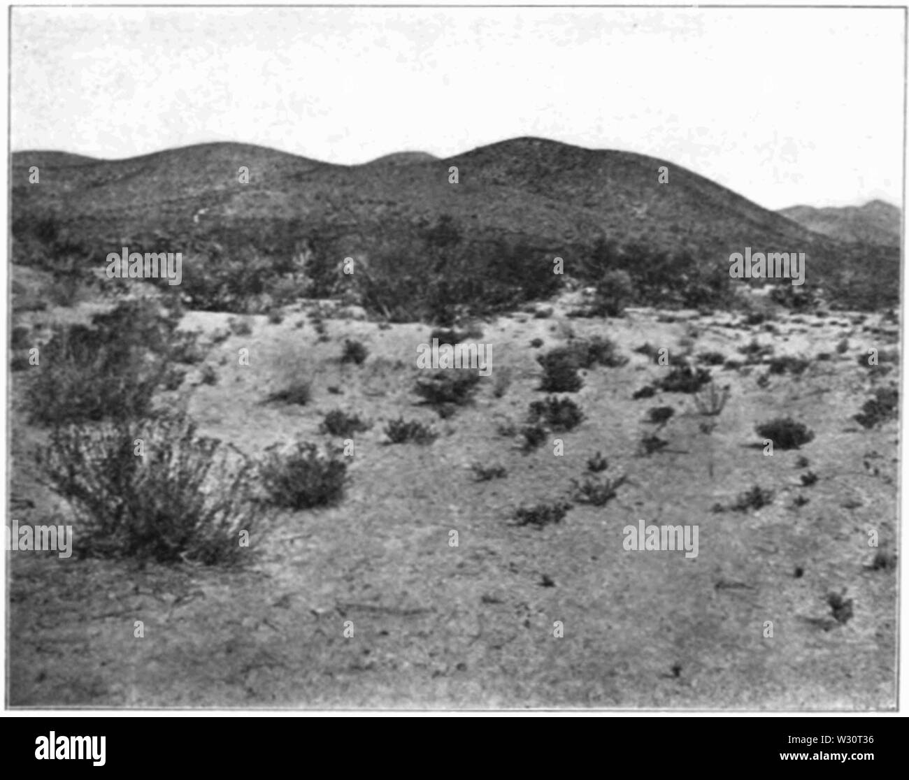 PSM V75 D 452 Wüstenlandschaft in Zacatecas Stockfoto