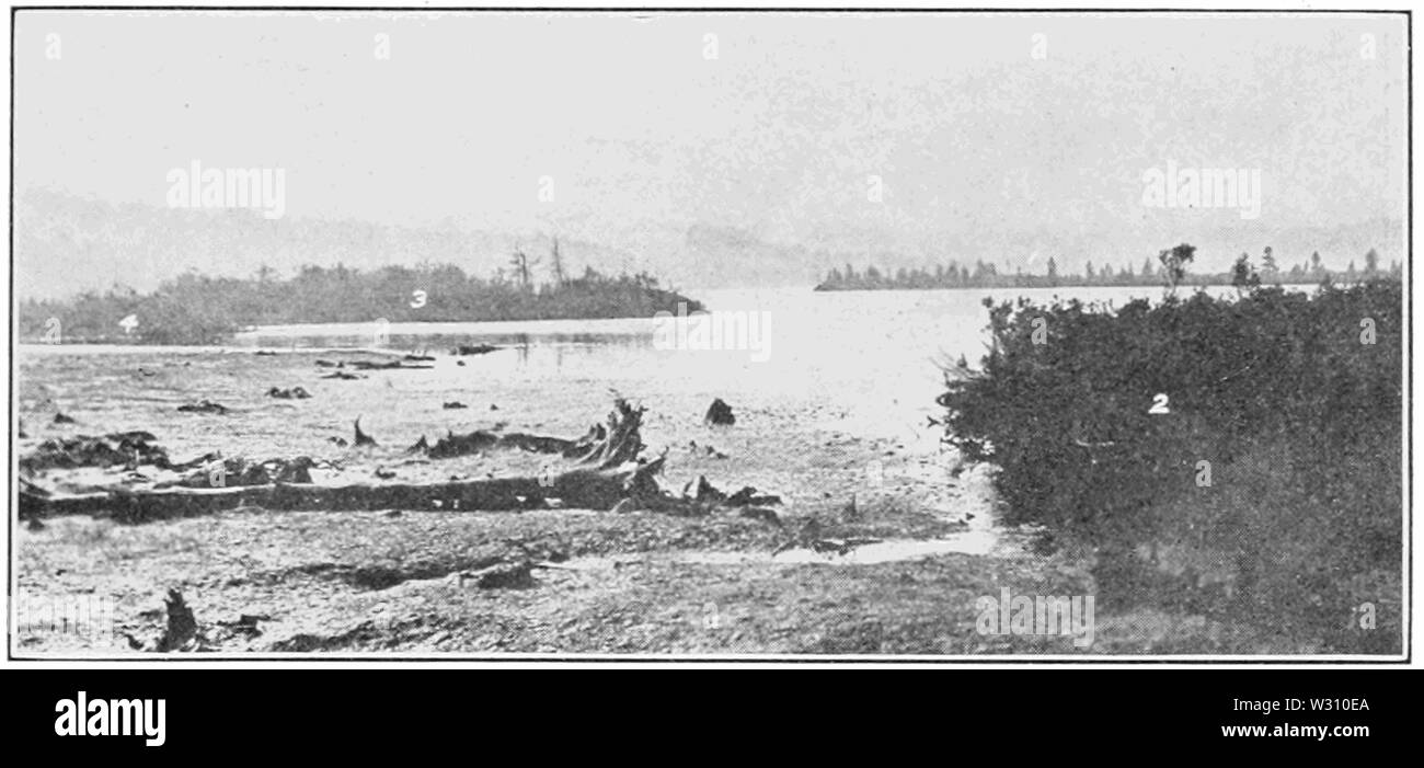 PSM V79 D 311 Main schwimmende Insel auf sadawga See von Vermont Stockfoto
