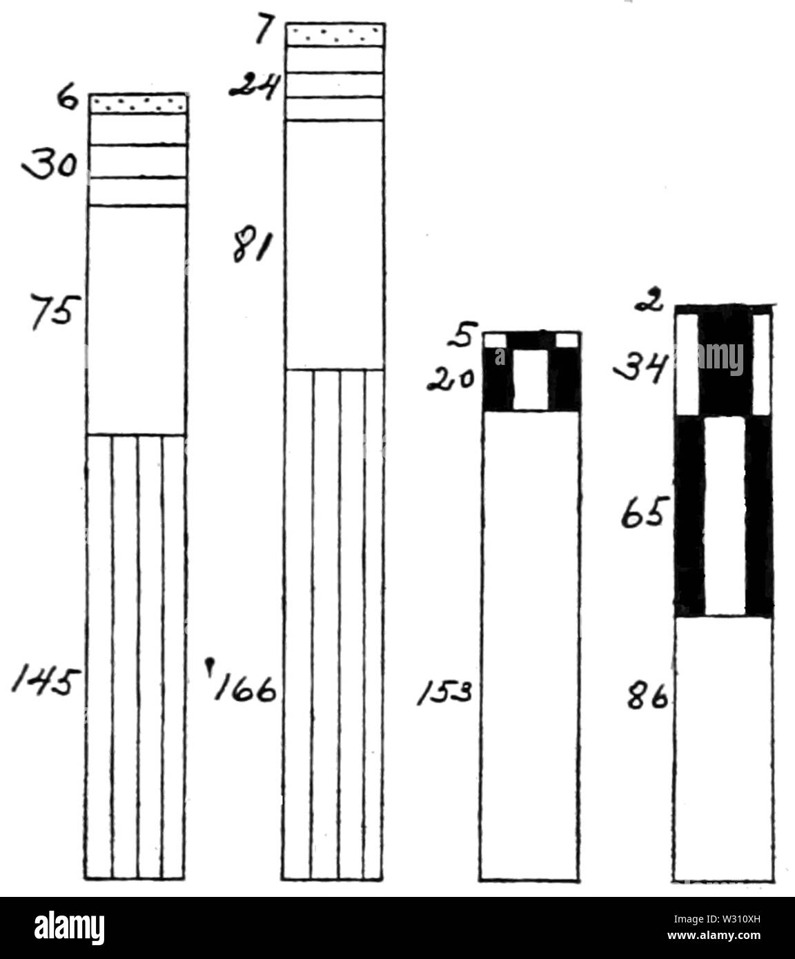 PSM V79 D 519 wissenschaftliche Ergebnisse der Wahlfächer der Studierende der Medizin Stockfoto