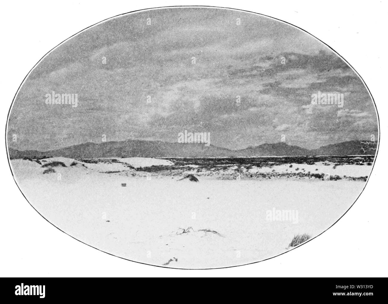 PSM V82 D 478 Ausdehnung des riesigen weißen Sanddünen von Gips in hueco Bolson Stockfoto