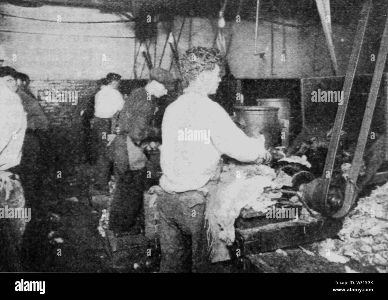 PSM V88 D097 gefährliche Arbeit in der pelt Industrie 2 Stockfoto