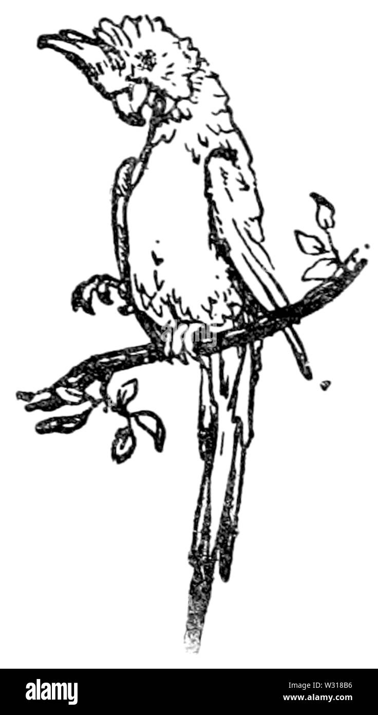 Seite 31 Abbildung in Englisch Märchen Stockfoto