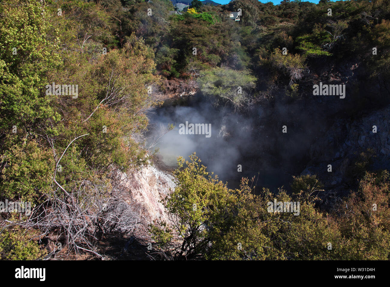 Land der Geysire in Rotorua, Neuseeland Stockfoto