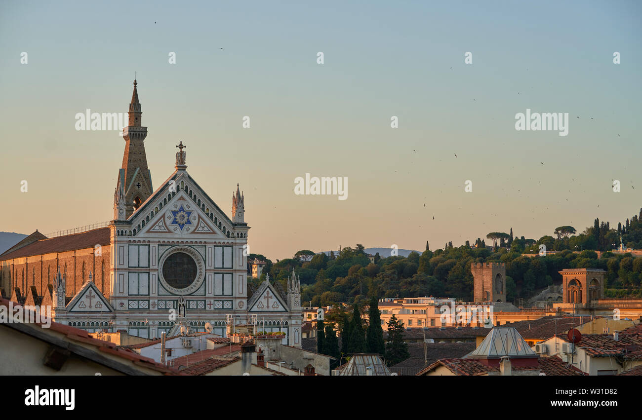 Die Basilika Santa Croce (Basilika des Heiligen Kreuzes) in Florenz in der Dämmerung mit mauersegler (Apus opus) rund um den Kirchturm fliegen. Stockfoto