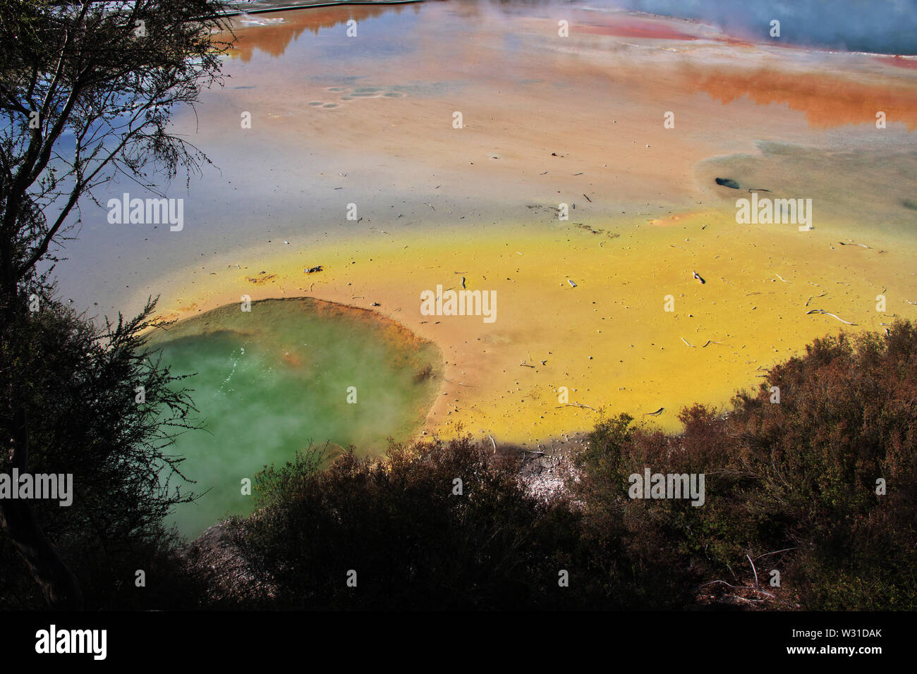Land der Geysire in Rotorua, Neuseeland Stockfoto