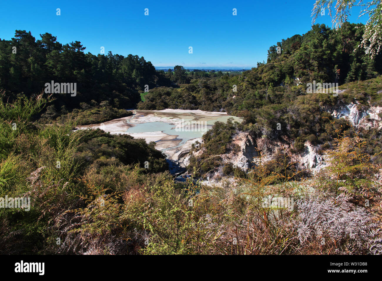 Land der Geysire in Rotorua, Neuseeland Stockfoto