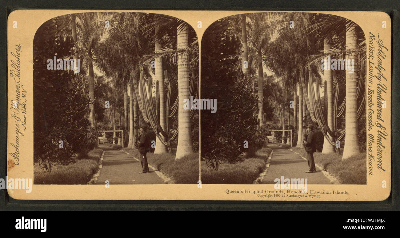 Queen's Gelände, Honolulu, Hawaii Inseln, von Strohmeyer & Wyman Stockfoto