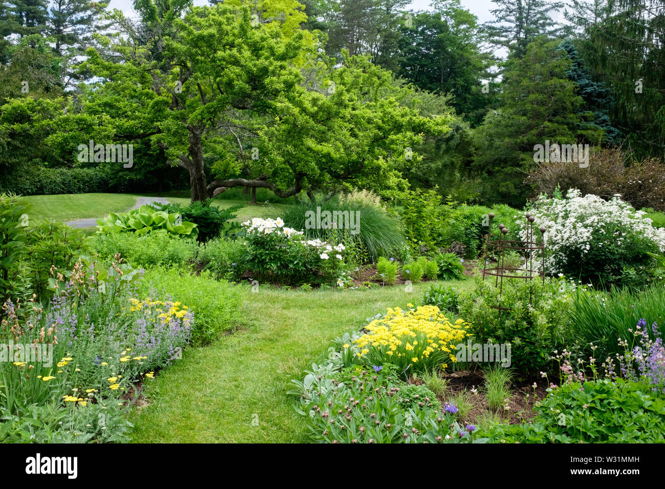 Ein Weg durch den beständigen Garten bei Berkshire botanischer Garten in Pittsfield, Massachusetts im Frühsommer. Stockfoto