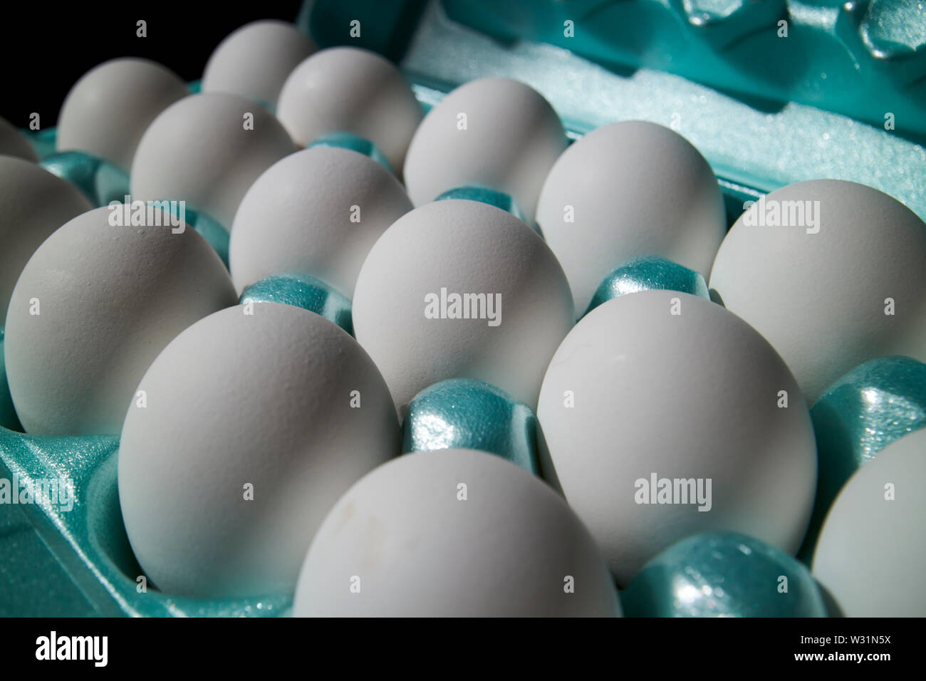 Styropor Box der weißen Eier in den USA Vereinigte Staaten von Amerika Stockfoto