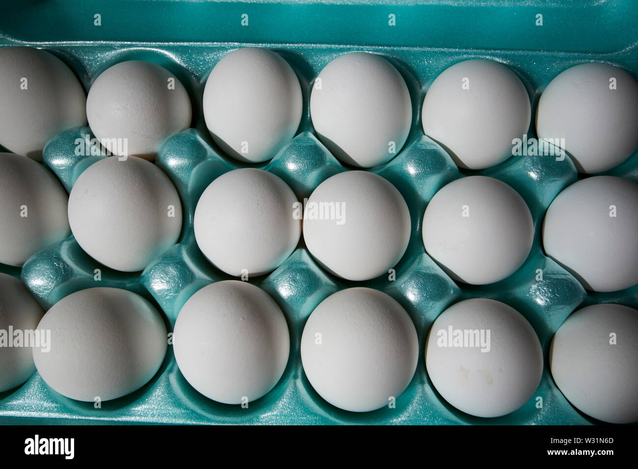 Styropor Box der weißen Eier in den USA Vereinigte Staaten von Amerika Stockfoto
