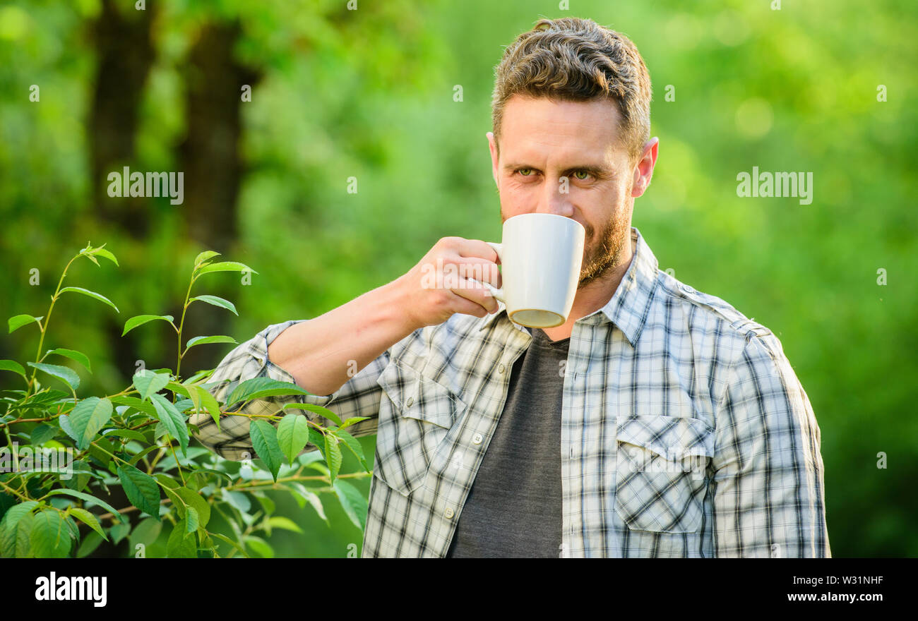 Vollständige blatt Tee. Hervorragender Geschmack. Genießen Sie heiße Getränke. Natürliche trinken. Gesunde Lebensweise. Ich bevorzuge grünen Tee. Erfrischendes Getränk. Man bärtige Kaffee Bauer halten Becher Natur Hintergrund. Grüner Tee Plantage. Stockfoto