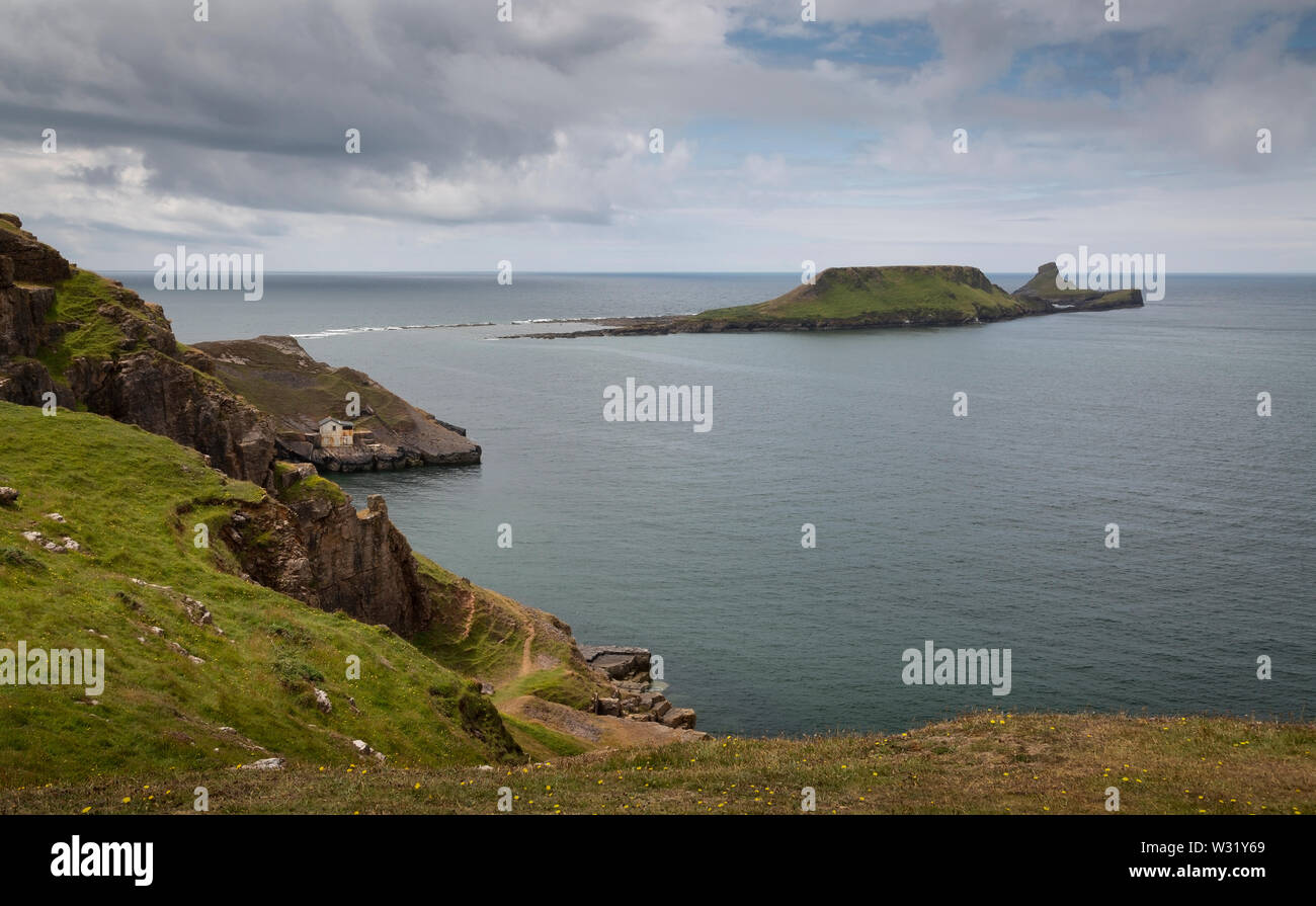 Würmer Kopf auf der Halbinsel Gower Stockfoto