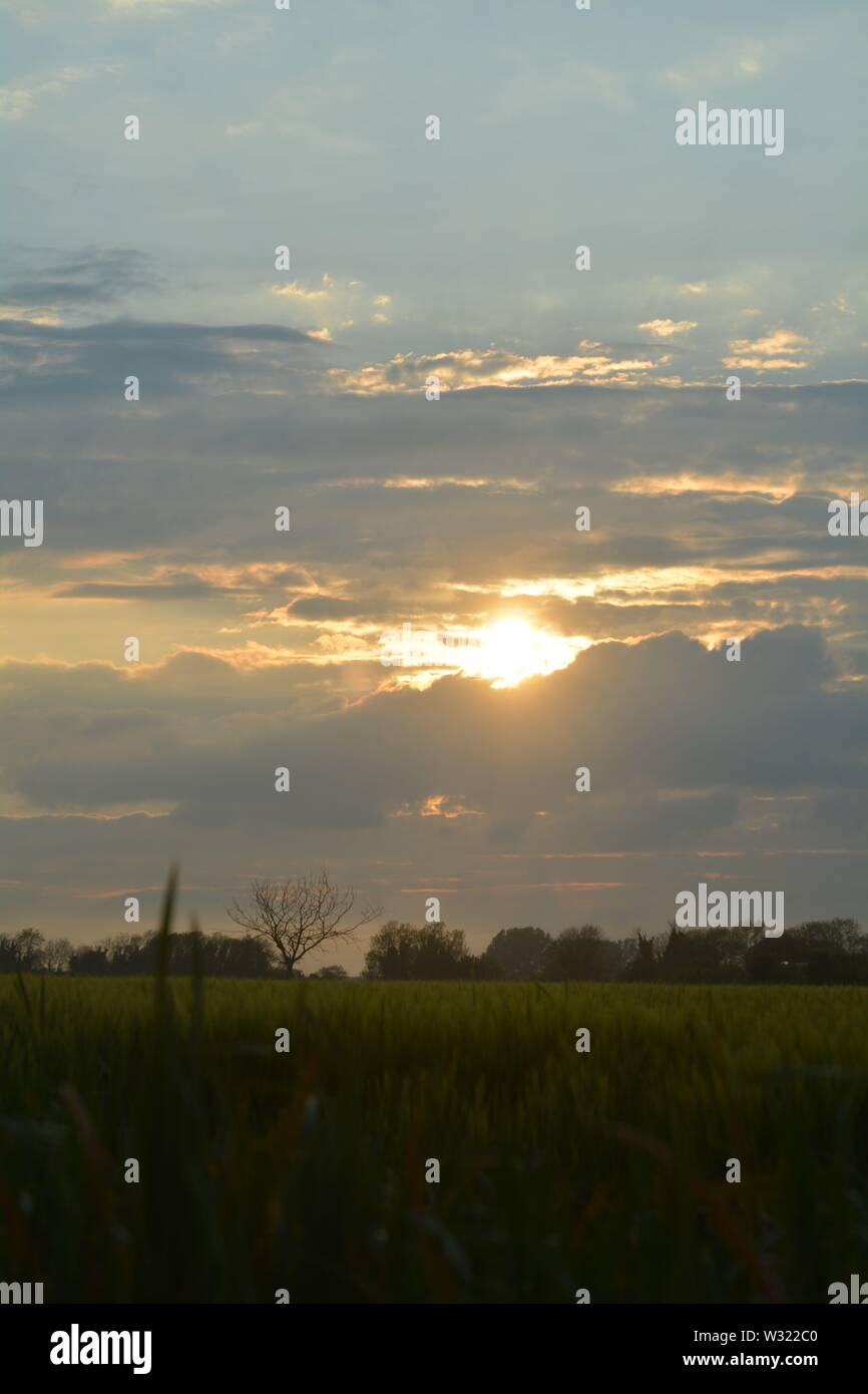 Goldenes Leuchten der Abendsonne, die teilweise von Wolken versteckt ist, wenn sie in den Abendhimmel geht. Stockfoto