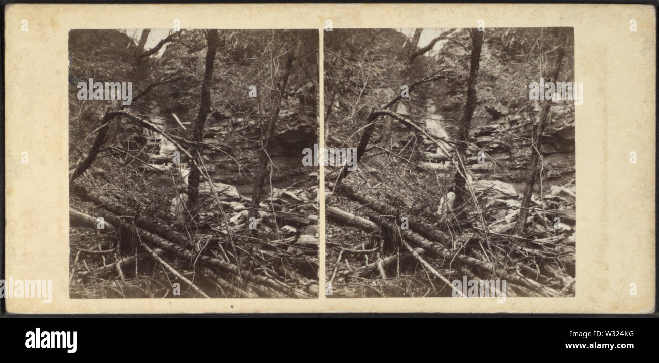 Szene in den Catskill Mountains, nach einer Überschwemmung, durch die London Stereoscopic View Co Stockfoto