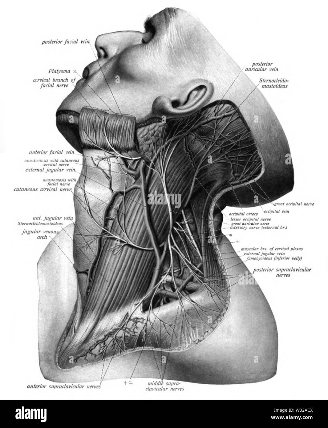 Sobo 1909 698 Stockfoto