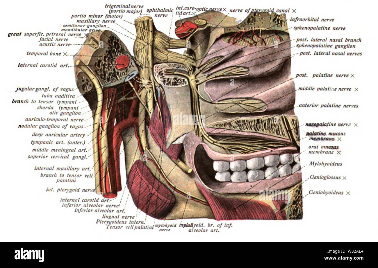 Sobo 1909 686 Stockfoto