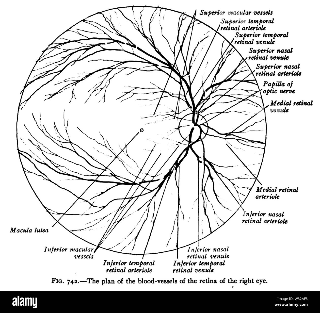 Sobo 1909 742 Stockfoto