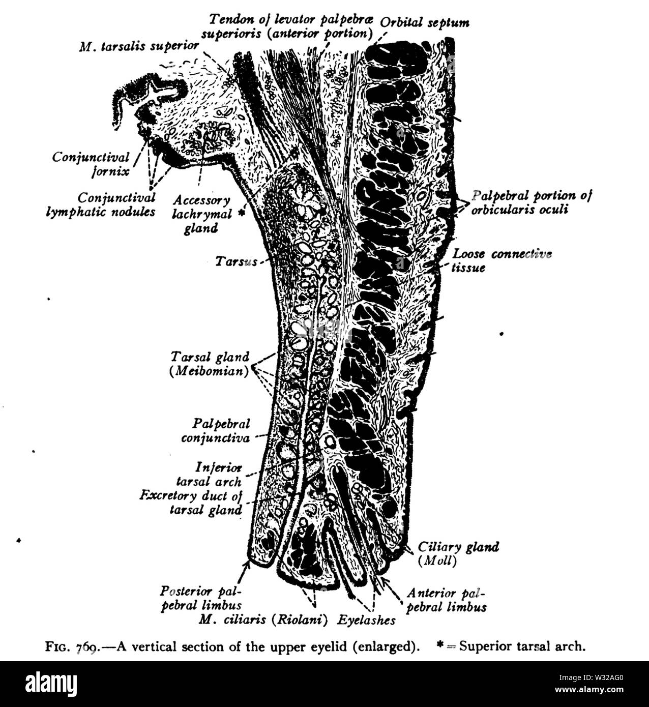Sobo 1909 769 niedrig Stockfoto