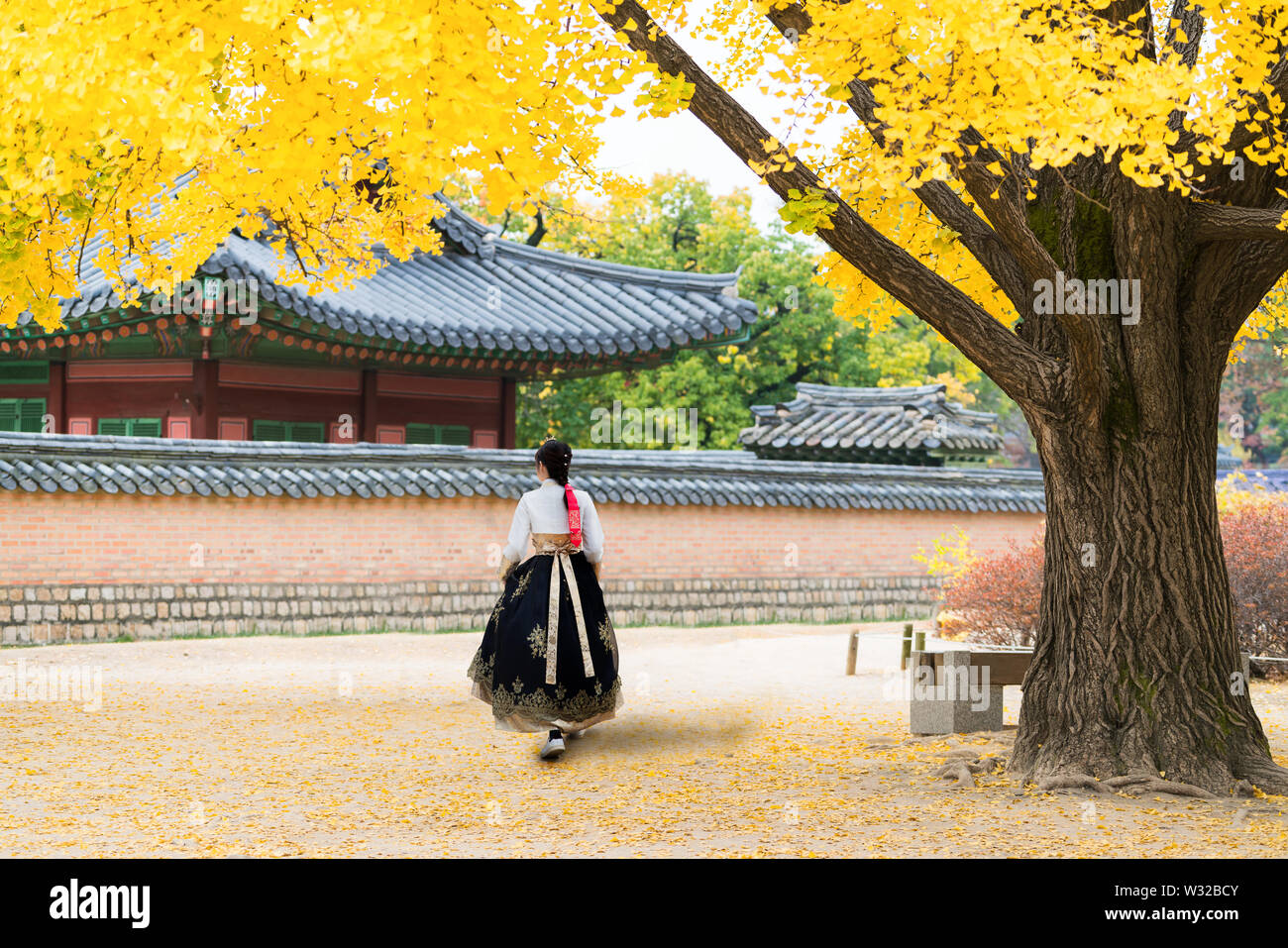 Asiatische koreanische Frau gekleidet Hanbok in traditioneller Kleidung wandern in Gyeongbokgung Palast im Herbst Saison in Seoul, Südkorea. Stockfoto