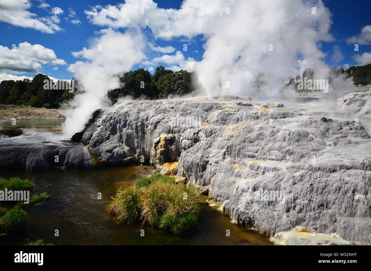 Thermen in Rotorua Stockfoto