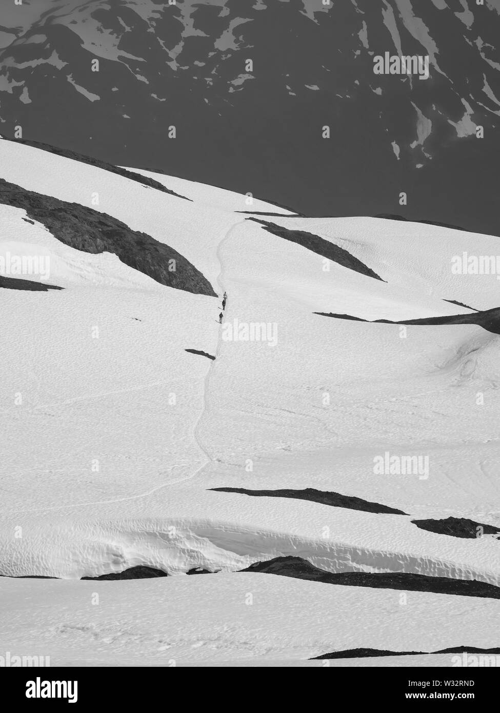 Wanderer absteigend das Harding Icefield Trail im Kenai Fjords National Park in Southcentral Alaska. Stockfoto