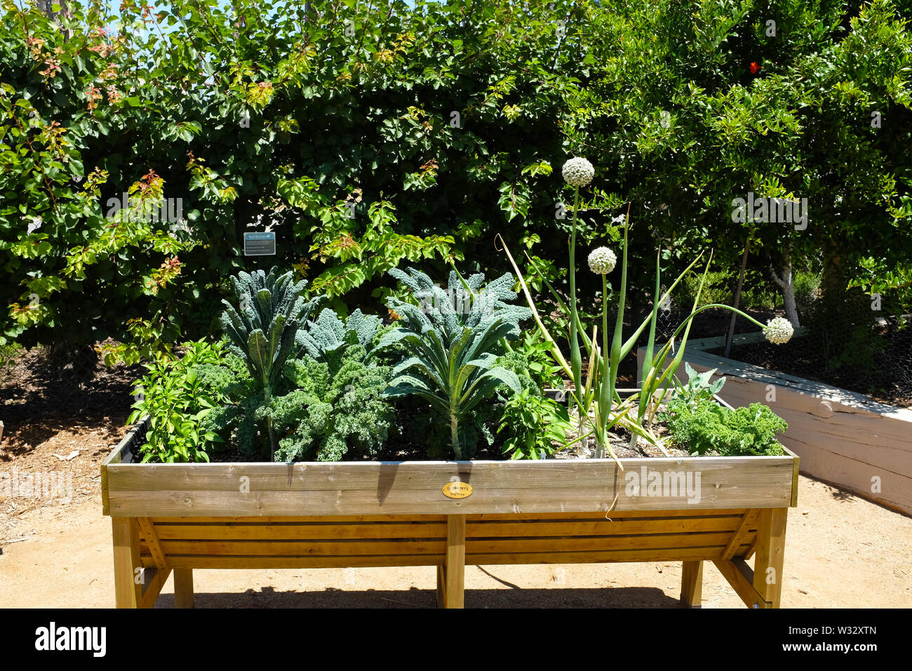 IRIVNE, KALIFORNIEN - 11. JULI 2019: Great Park Farm and Food Lab. Ein 1 Hektar großes Grundstück in Irvine's Great Park, das als Demonstration nachhaltiger Entwicklung errichtet wurde Stockfoto