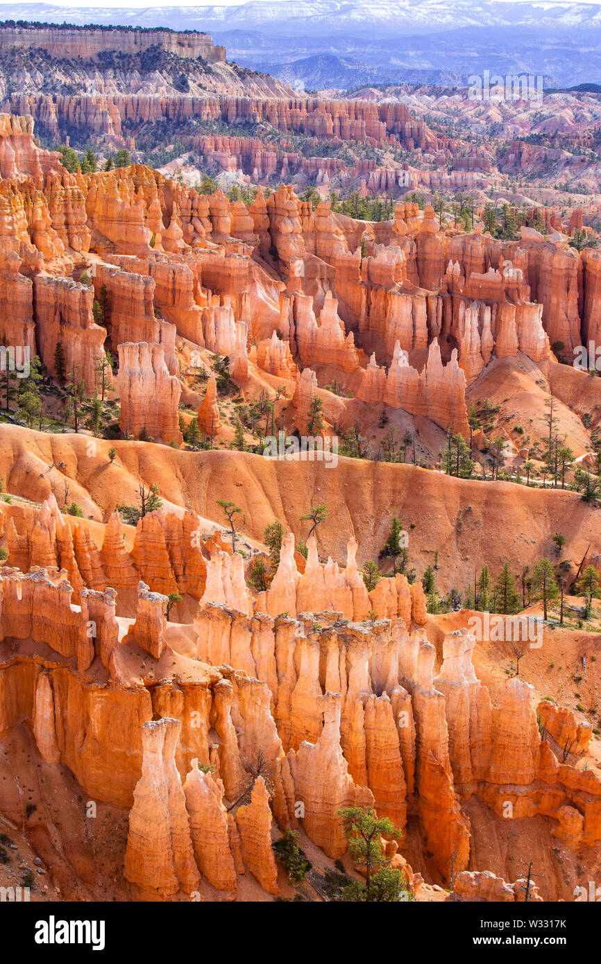 Hoodoo Felsformationen im Bryce Canyon National Park, Utah, Vereinigte Staaten von Amerika Stockfoto