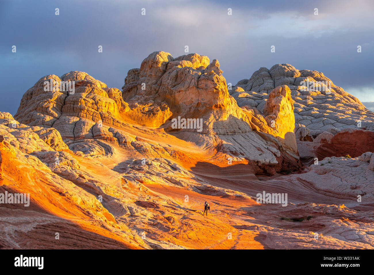 Castle Rock im White Pocket im Vermillion Cliffs National Monument, Arizona, Vereinigte Staaten von Amerika Stockfoto