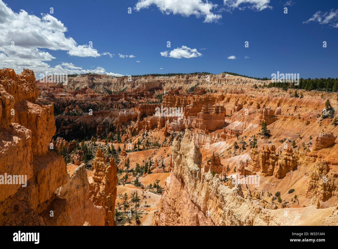 Hoodoo Felsformationen im Bryce Canyon National Park, Utah, Vereinigte Staaten von Amerika Stockfoto