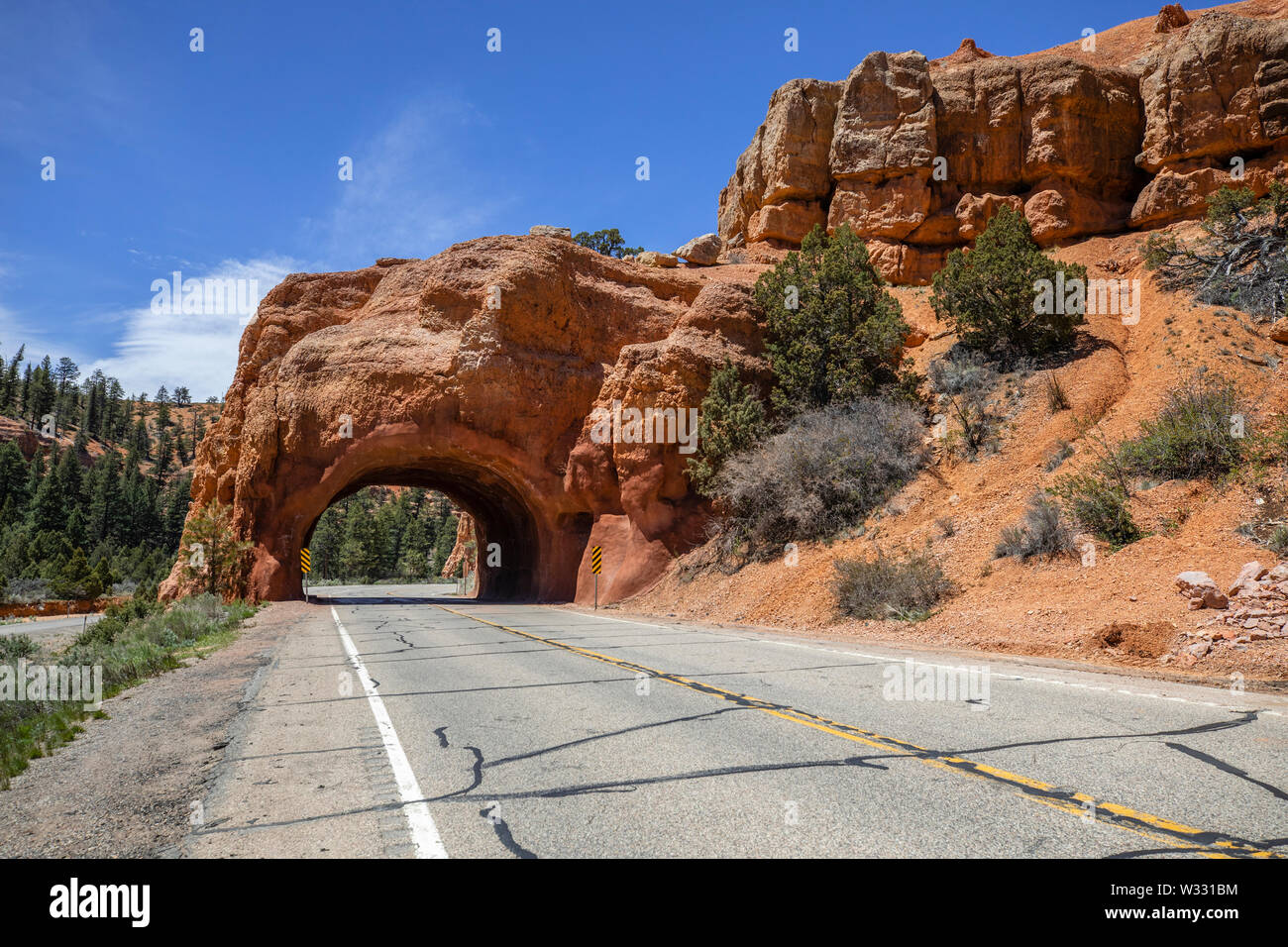 Hoodoo Felsformationen im Bryce Canyon National Park, Utah, Vereinigte Staaten von Amerika Stockfoto