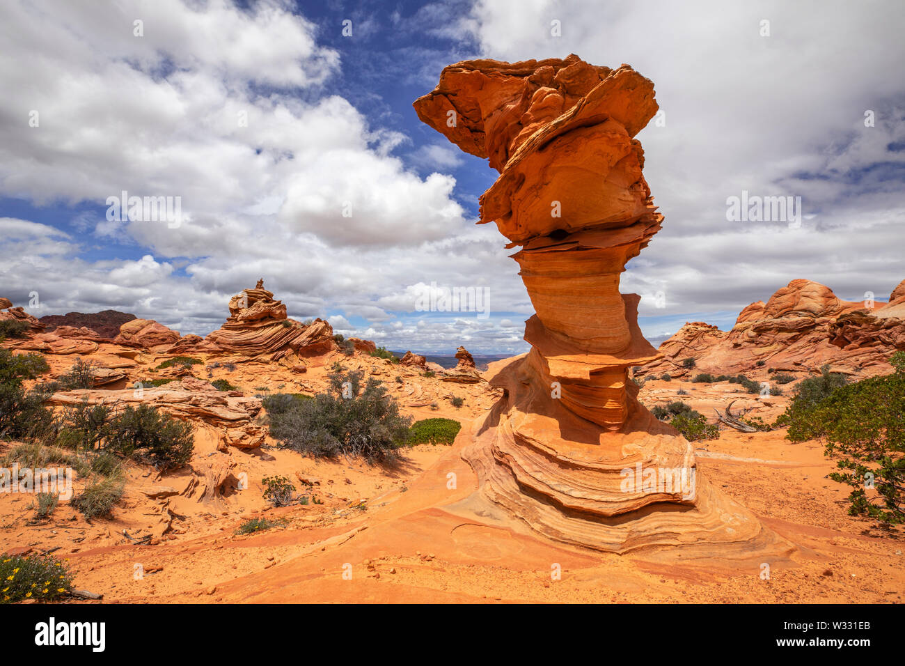 Control Tower Coyote Buttes South, Arizona, Vereinigte Staaten von Amerika Stockfoto