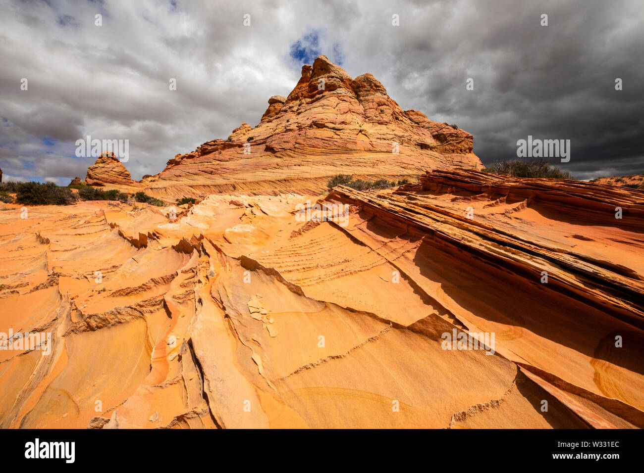 Sandstein Flossen an Coyote Buttes South, Arizona, Vereinigte Staaten von Amerika Stockfoto