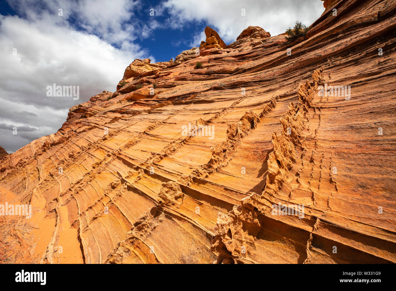 Sandstein Flossen an Coyote Buttes South, Arizona, Vereinigte Staaten von Amerika Stockfoto